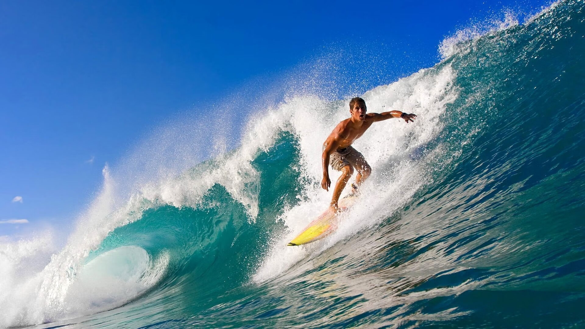 美洲杯赛事期间的媒体报道策略，体育新闻美洲杯